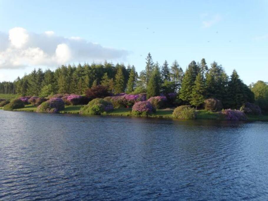 Hennock The Dairy - Quaint 1Br In Dartmoor National Parkヴィラ エクステリア 写真