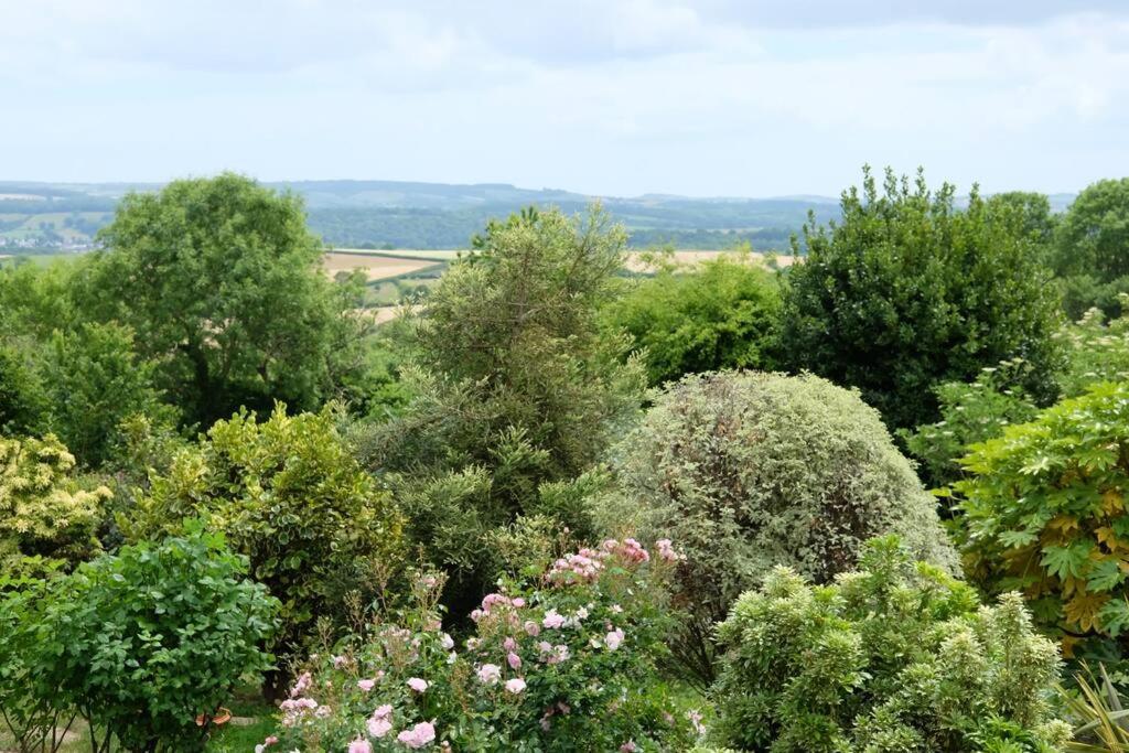 Hennock The Dairy - Quaint 1Br In Dartmoor National Parkヴィラ エクステリア 写真